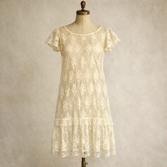 Antique Other - Vtg Antique 1920s Small Lace Slip Dress Sheer Ivory Flapper Drop Waist Edwardian